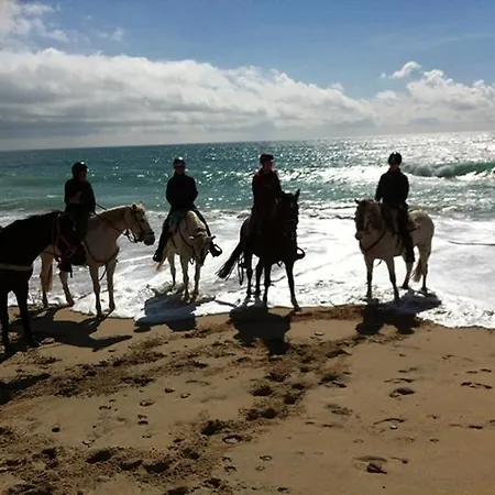 Luxury * 푸엔히롤라