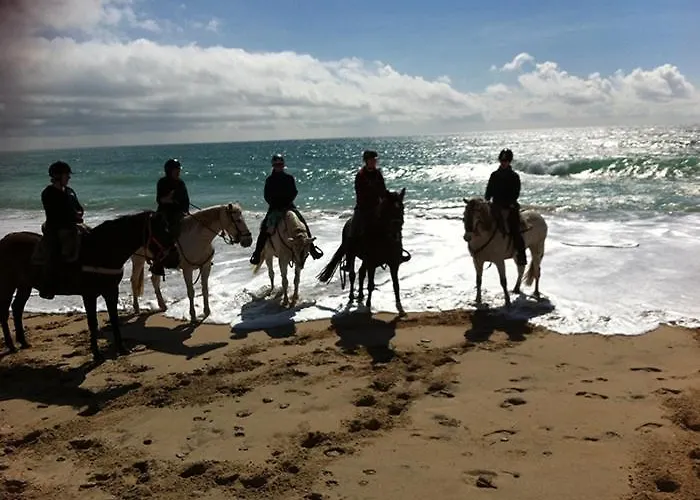 Luxury * 푸엔히롤라