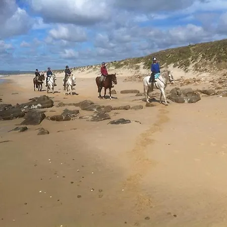 Luxury Suites Fuengirola